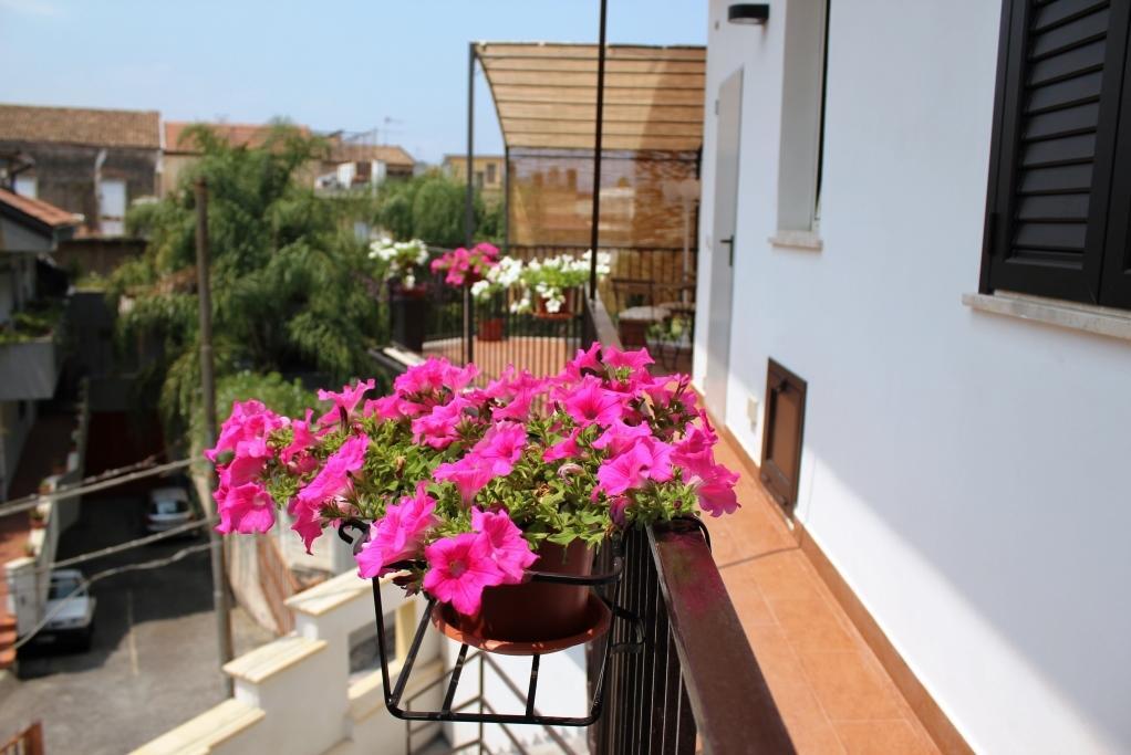 ג'יארה Tortugas B&B מראה חיצוני תמונה